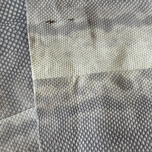 Christian Dior by John Galliano AW02 Lizard Skin Pants