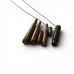 Celine by Phoebe Philo Bullet Necklace Sample