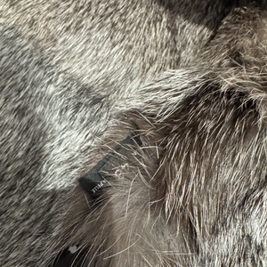 Gucci by Tom Ford 2000s Lapin Fur Gun Metal Leather Jacket