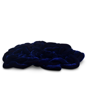 Boa 2002 Couch by Campana Brothers for Edra