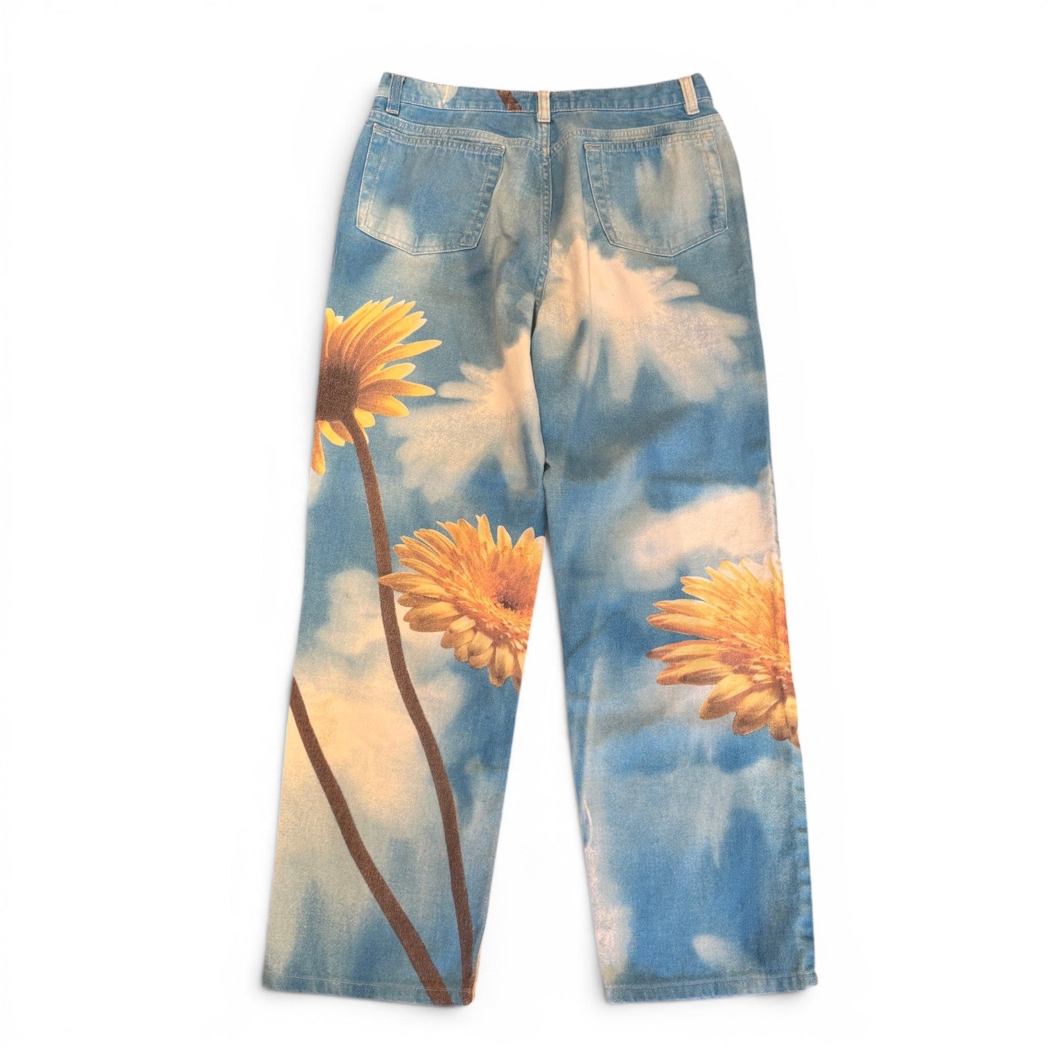 Roberto Cavalli 2000s Sky Flower Print Pants