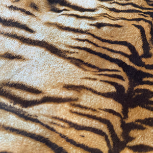 Roberto Cavalli 2000s Tiger Print Top