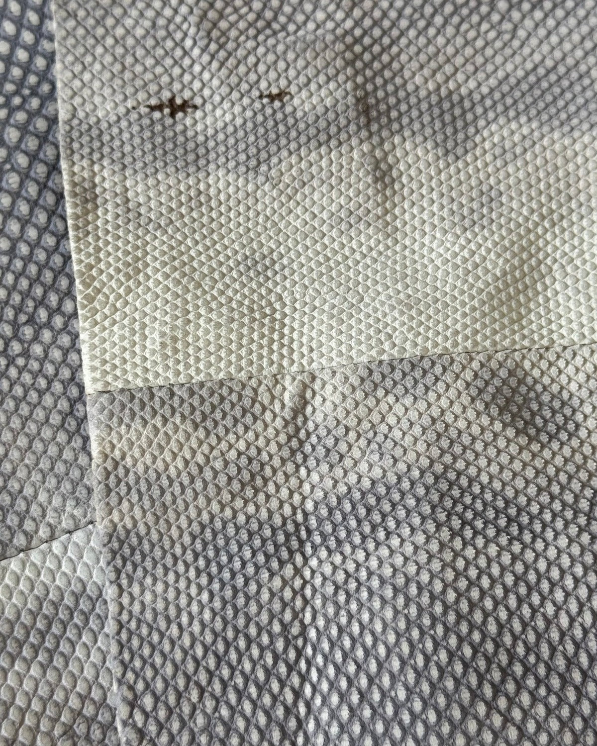 Christian Dior by John Galliano AW02 Lizard Skin Pants