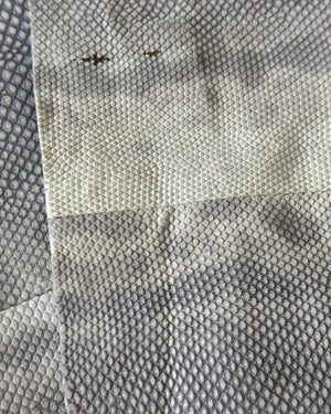 Christian Dior by John Galliano AW02 Lizard Skin Pants