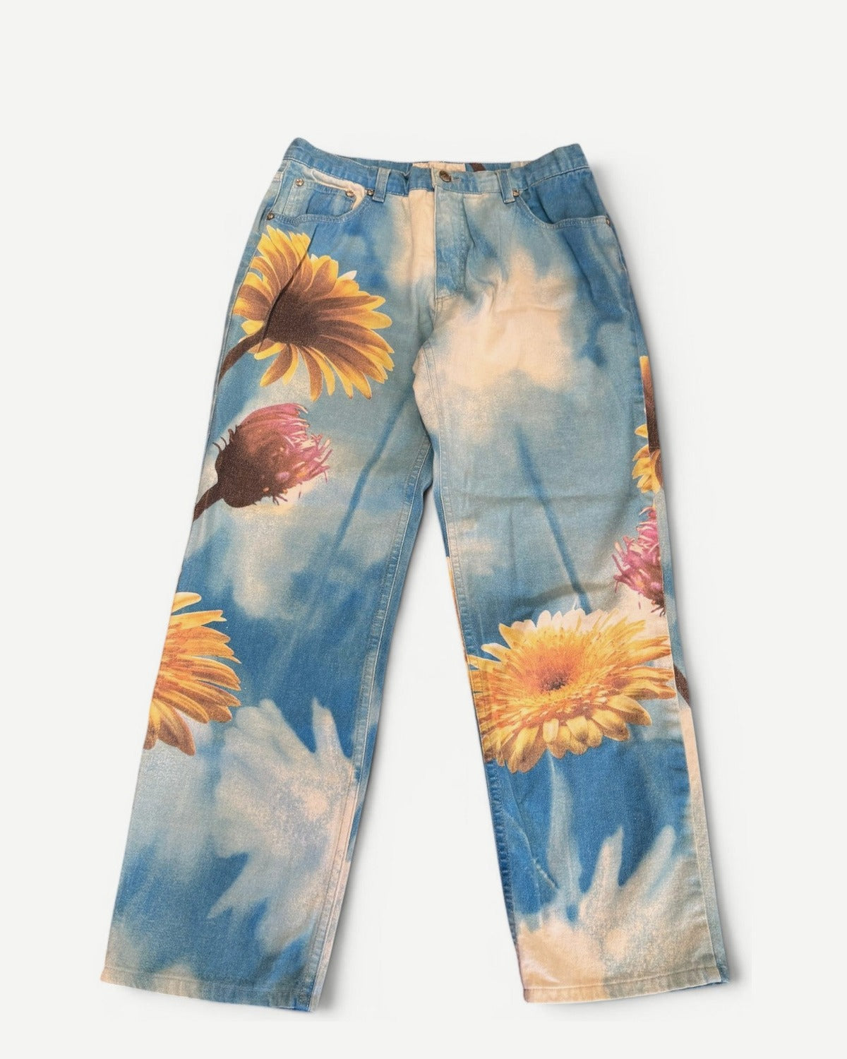 Roberto Cavalli 2000s Sky Flower Print Pants