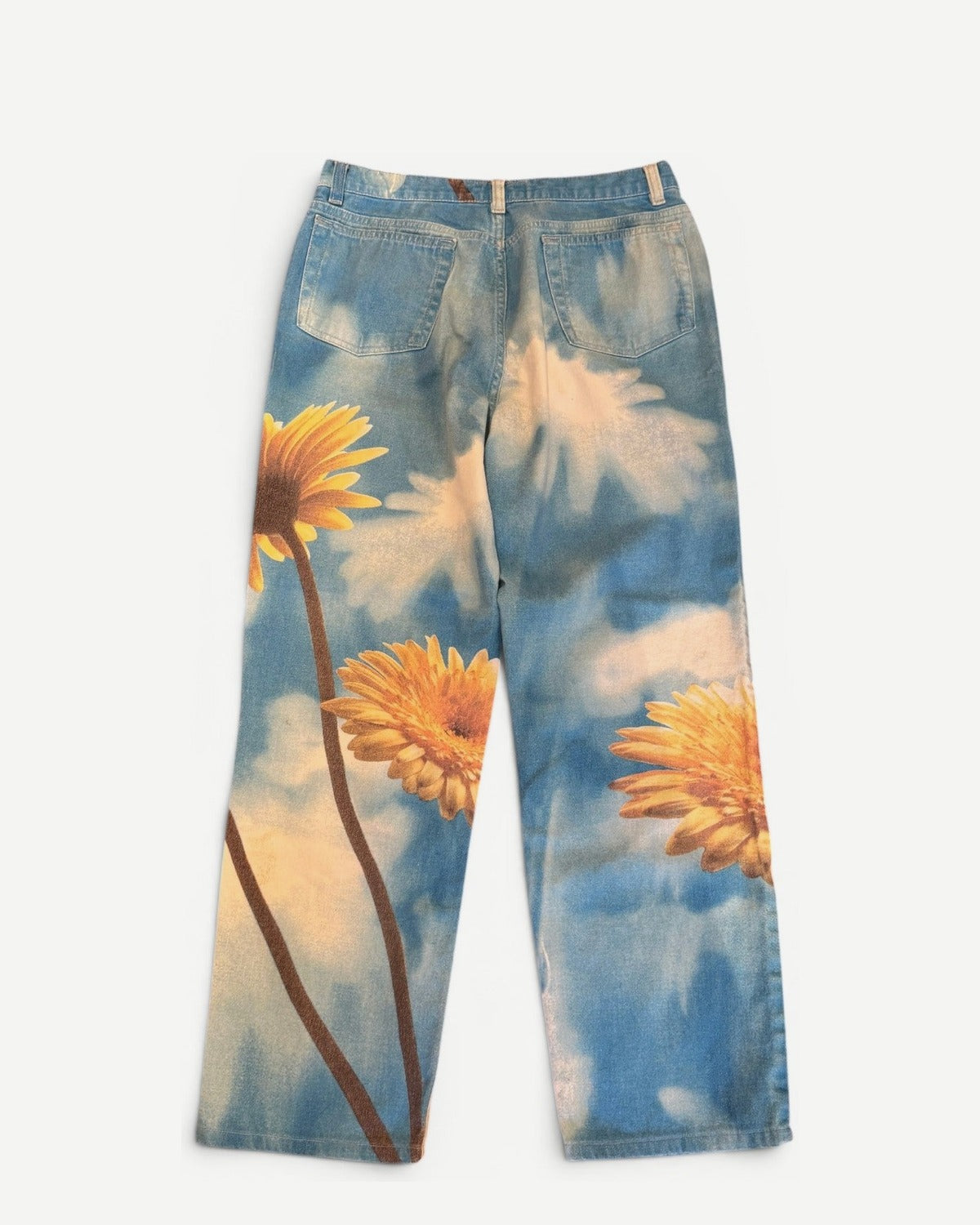 Roberto Cavalli 2000s Sky Flower Print Pants