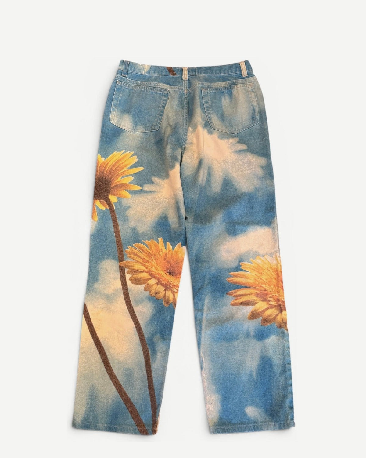 Roberto Cavalli 2000s Sky Flower Print Pants