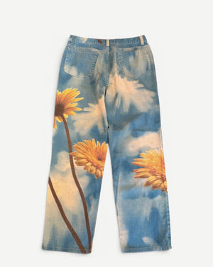 Roberto Cavalli 2000s Sky Flower Print Pants