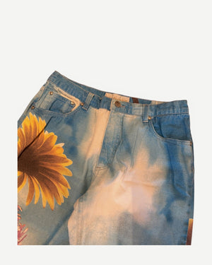 Roberto Cavalli 2000s Sky Flower Print Pants