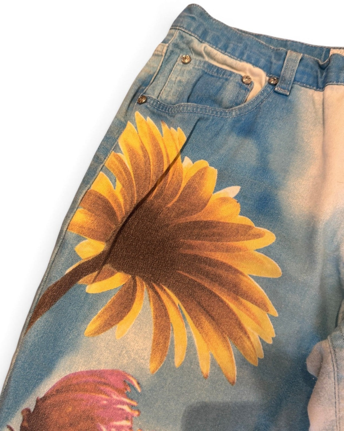 Roberto Cavalli 2000s Sky Flower Print Pants