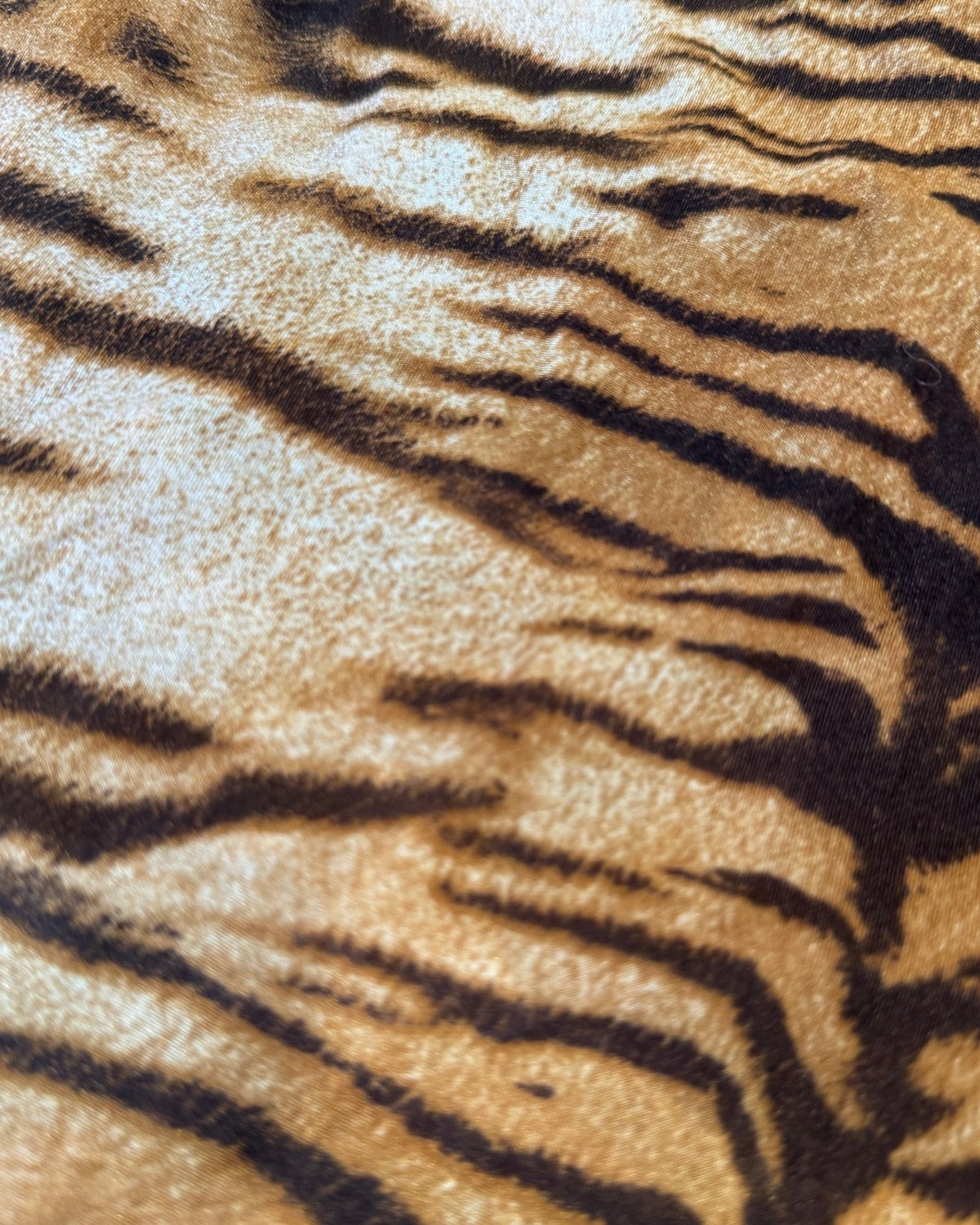 Roberto Cavalli 2000s Tiger Print Top