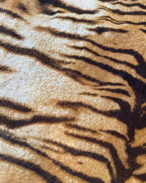 Roberto Cavalli 2000s Tiger Print Top