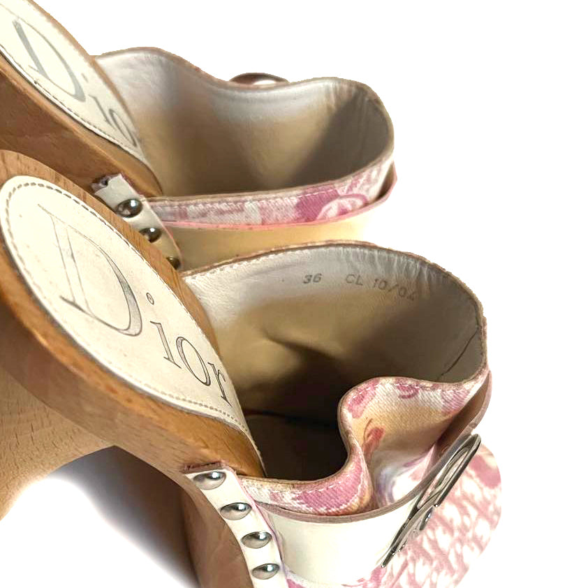 Christian Dior SS05 by John Galliano Cherry Blossom Monogram Platform Clogs