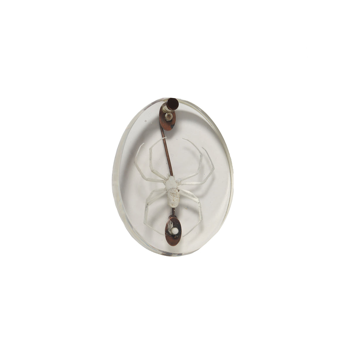 Maison Martin Margiela Painted Spider Brooch