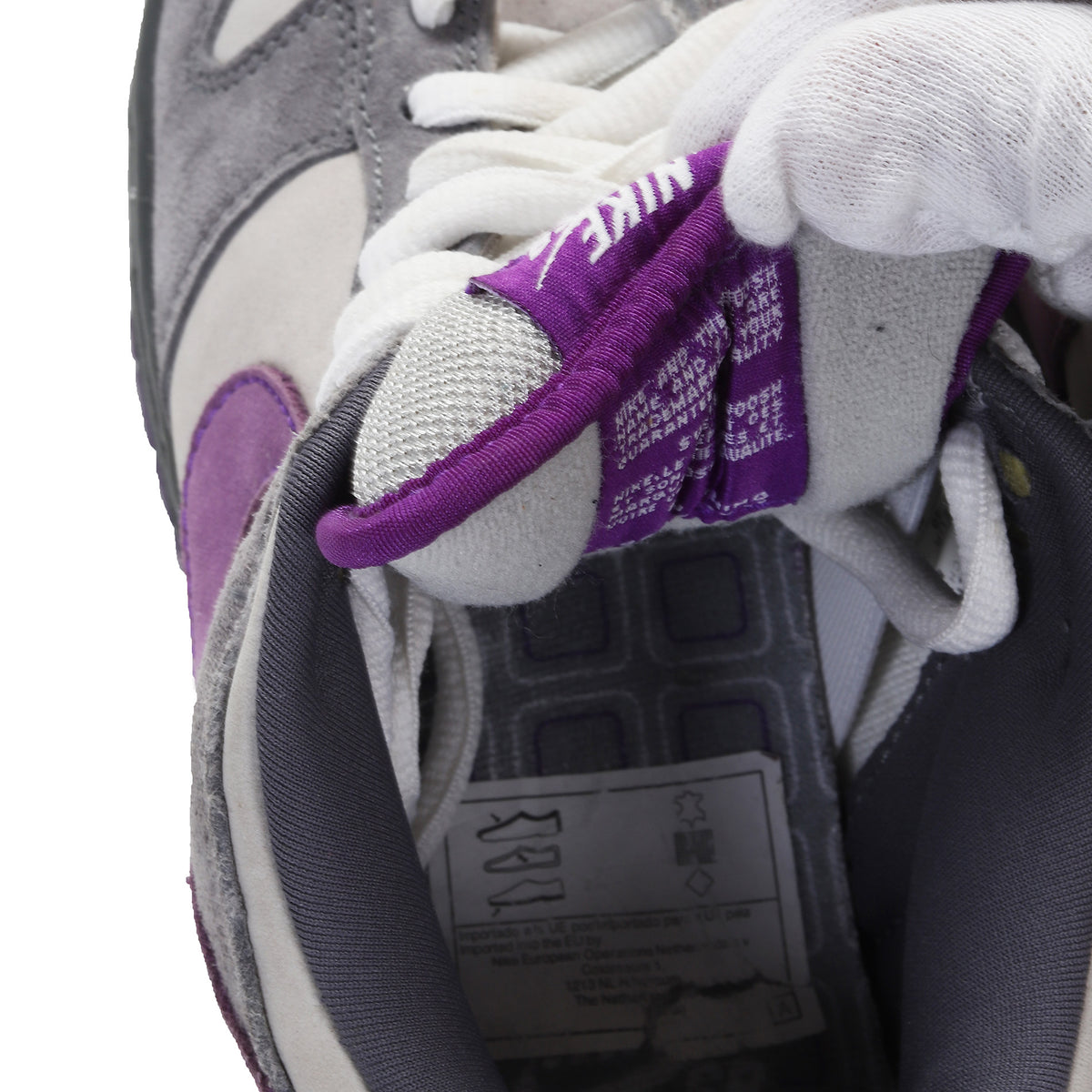 Nike Dunk SB Low 2006 Purple Pigeon