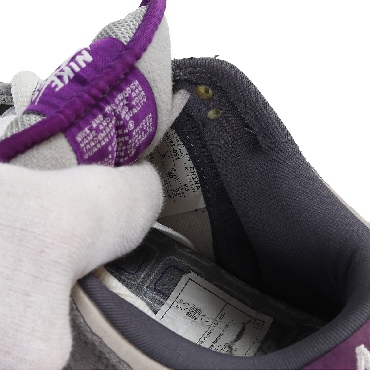 Nike Dunk SB Low 2006 Purple Pigeon