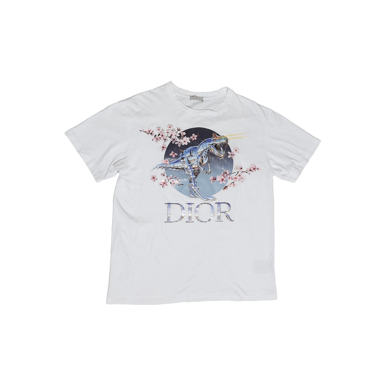 Dior Sorayama Tee  Mens Fashion Tops  Sets Tshirts  Polo Shirts  on Carousell